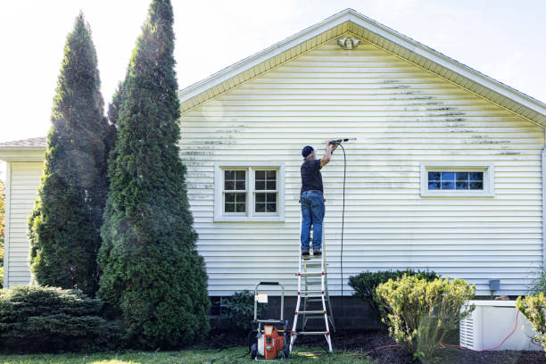 Best Roof Power Washing Services  in Black Jack, MO